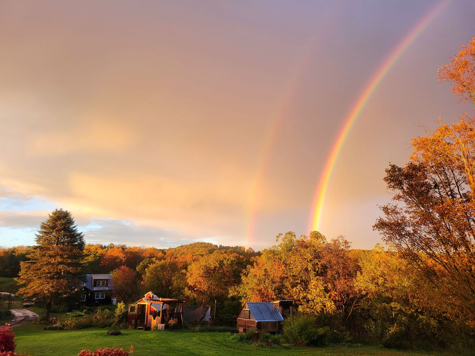 Windflower rainbow